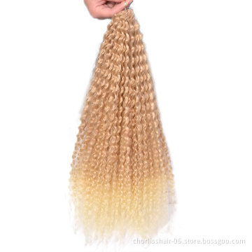 Wholesale Soft Goddess Water Wave Ombre Kinky Curly Crochet Braids Afro 20 Inches Marley Hair Synthetic Braiding Hair Extensions